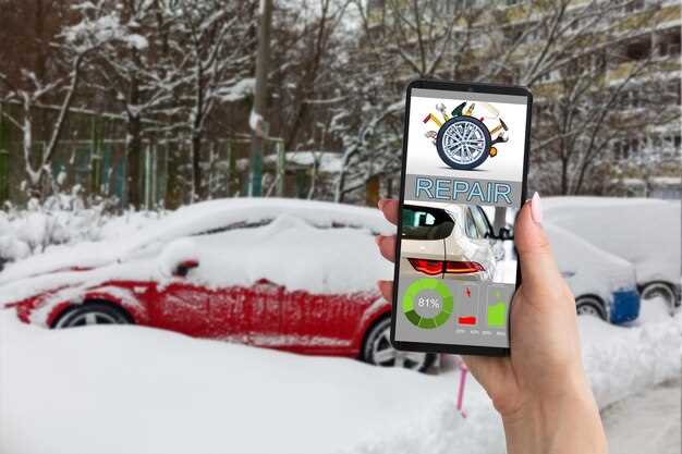 Car Sharing or Ownership: What is the Future Choice?